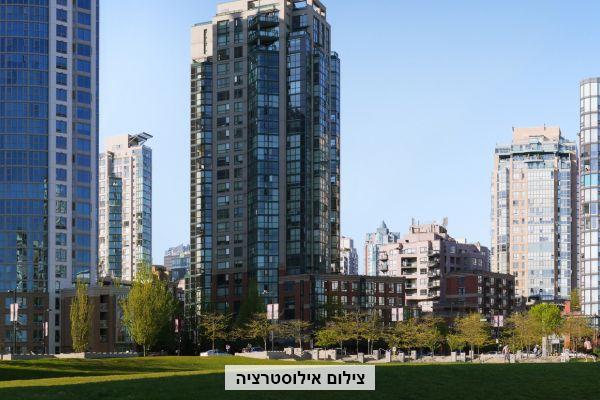 מכרז